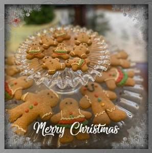 Meet your Posher, Lynne